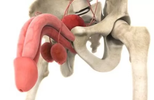 Ejakulator Kanal Kisti Tedavisi