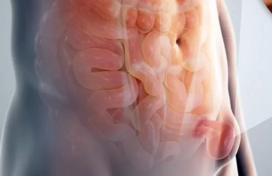 Kasik Fitigi Tedavisi