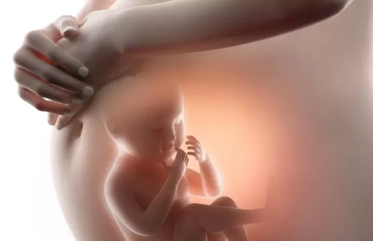 Posterior Uretral Valv