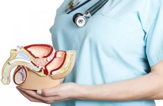 Prostat Füzyon Biyopsisi, Akıllı Prostat Biyopsisi