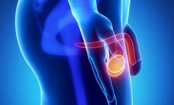 testis kanseri tedavisi