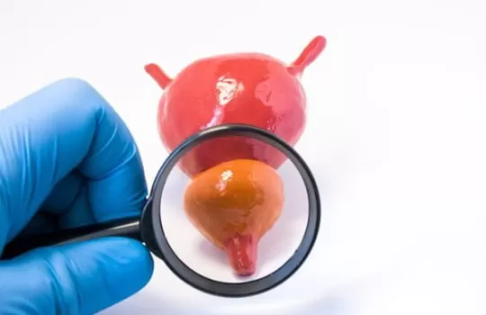 Uluslararasi Prostat Semptom Skoru