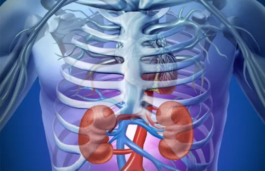 Ust Uriner Tuberkiloz