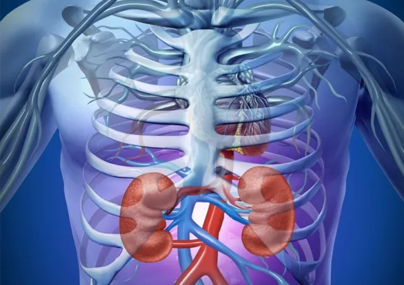 Ust Uriner Tuberkiloz