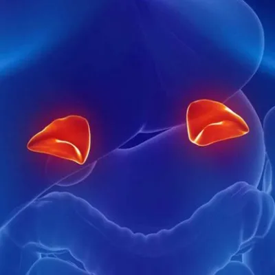 Adrenal Kanseri Tedavisinde Robotik ve Laparoskopik Cerrahi