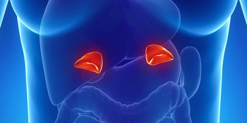 Adrenal Kanseri Tedavisinde Robotik ve Laparoskopik Cerrahi