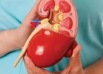 Böbrek Kanseri Tedavisinde İmmünoterapi