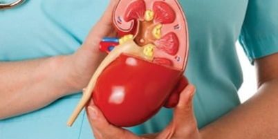 Böbrek Kanseri Tedavisinde İmmünoterapi