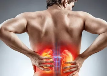 Böbrek Taşı Nasıl Oluşur?