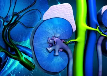 Böbrek Üstü Bezi Kanseri Nedir?