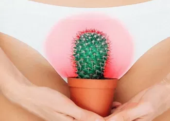 Frengi (Sifiliz) Tedavisi