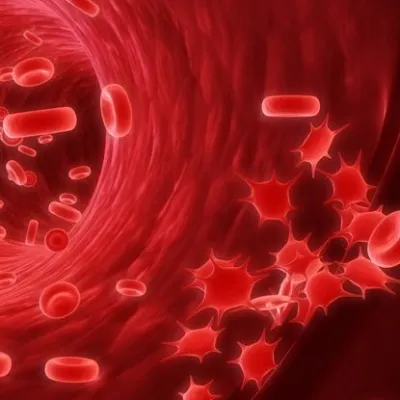 Hormonal Bozukluk Intrasitoplazmik Sperm Enjeksiyonu (ICSI)