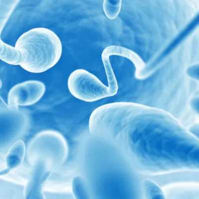 Hormonal Bozukluk Tedavisi Mikro TESE Uygulamaları