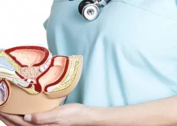 İyi Huylu Prostat Büyümesi İçin Bitkisel Çözümler, Fitoterapi