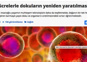 Kök Hücre Tedavisi İle Sertleşme Bozukluğuna Kalıcı Çözüm