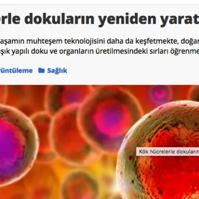 Kök Hücre Tedavisi İle Sertleşme Bozukluğuna Kalıcı Çözüm