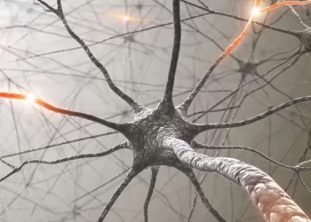 Nörolojik İnkontinans İçin Davranış Tedavisi