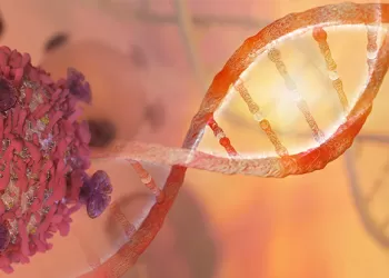 Stromal Vasküler Fraksiyon (SVF) Kök Hücre Tedavisi Nedir?