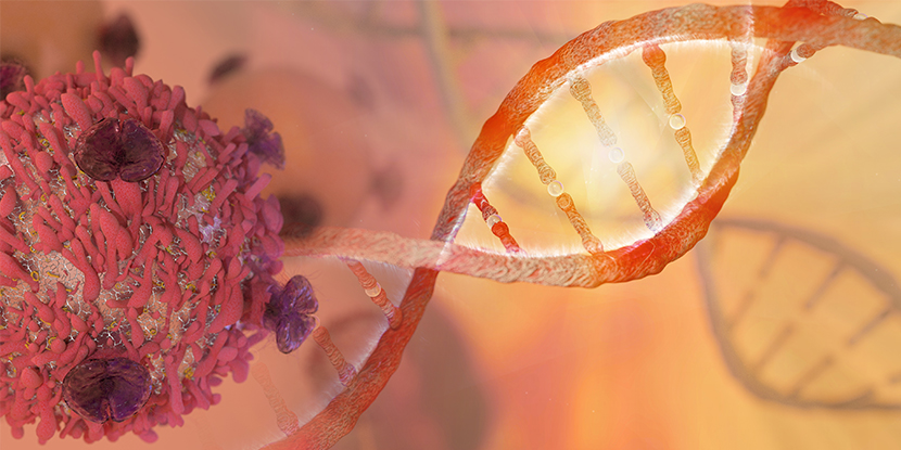 Stromal Vasküler Fraksiyon (SVF) Kök Hücre Tedavisi Nedir?