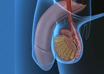 Testis Kanserinde Aktif İzlem Tedavisi