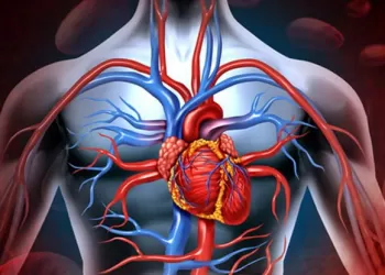 Tromboz Böbrek Kanseri Tedavisinde Cerrahi