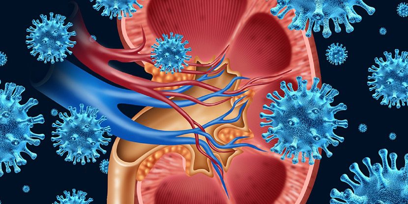Tromboz Böbrek Kanserinde Yeni Tedaviler