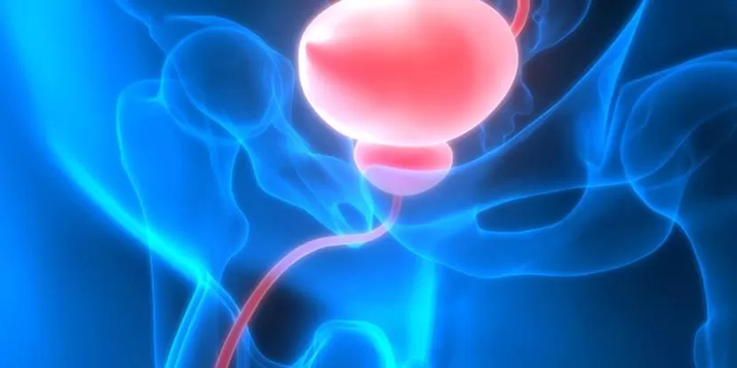 Uretra Darligi Ameliyati