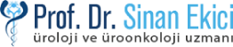 Prof. Dr. Sinan Ekici