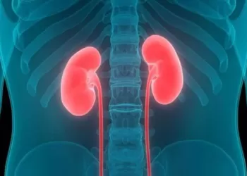 Böbrek Kanseri Tedavisinde Kriyoterapi ve Radyofrekans Uygulamaları