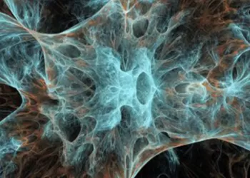 Ereksiyon Nasıl Oluşur? İktidarsızlık Nasıl Anlaşılır?