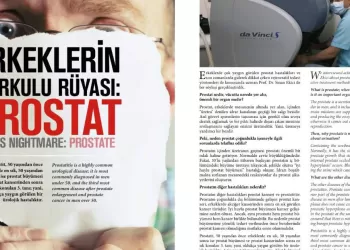 Prostat ve Tedavi Seçenekleri
