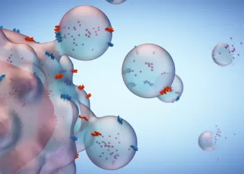 Sertleşme Sorunu için Eksozom Tedavisi: Hücresel İletişimin Gücünü Kullanan Yeni Bir Tedavi