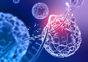 Eksozom Nedir? Kök Hücreden Farkı Nedir?