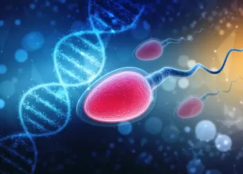 Azospermi, Sperm Analizi Bozuklukları, İnfertilite ve Eksozom Tedavisi