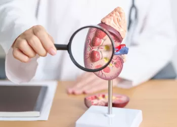 Üroonkoloji Nedir? Hangi Hastalıklarla İlgilenir?