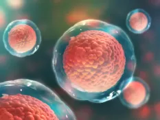 Eksozom Tedavisi (Sertleşme Sorunu, Azospermi, Sistit)