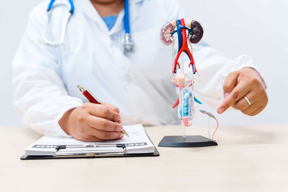 Mesane Kanserinde İyileşme Oranı: Umut Veren İstatistikler ve Tedavi Seçenekleri