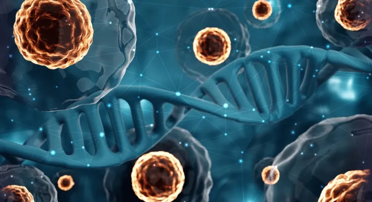 Penis Kök Hücre Tedavisi: Cinsel Sağlıkta Hücresel Yenilenme Dönemi