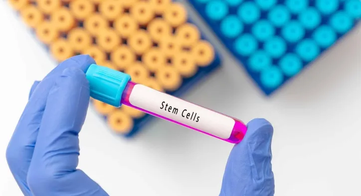 Ürolojide Kök Hücre Tedavisi: Vücudun Kendi Gücüyle İyileşme Dönemi