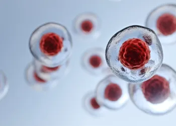 Nörojenik Mesane Tedavisinde Yeni Tedaviler: Rejeneratif Tıp ve Kök Hücre